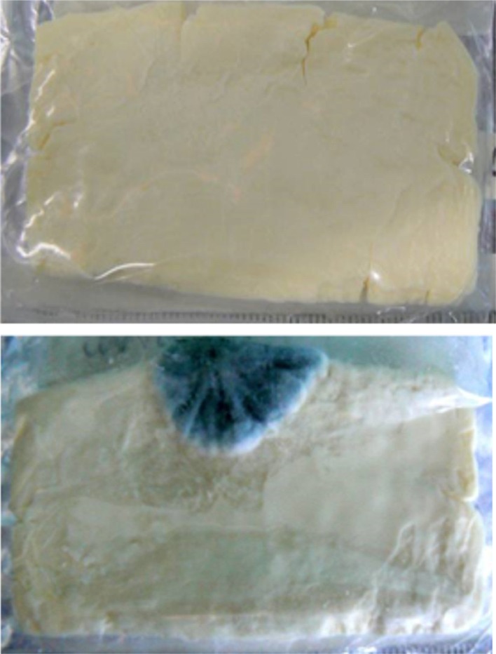 two examples, the first with no mould growth, the second with clearly visible mould growth