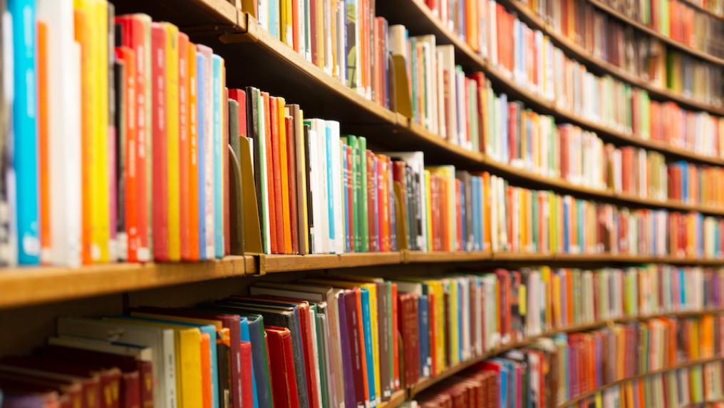 Library shelves full of books