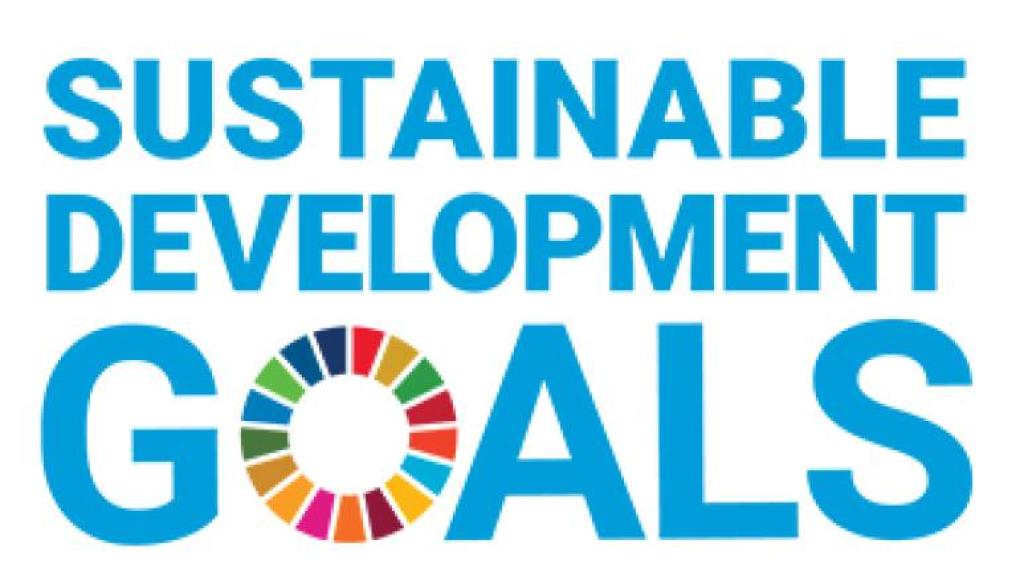 The UN Sustainable Development Goals logo